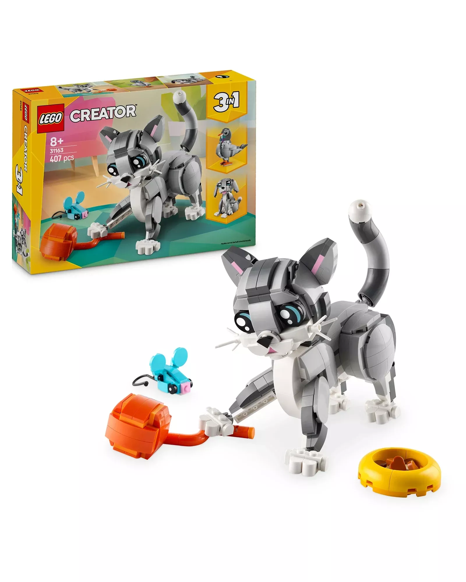 31163 Playful Cat