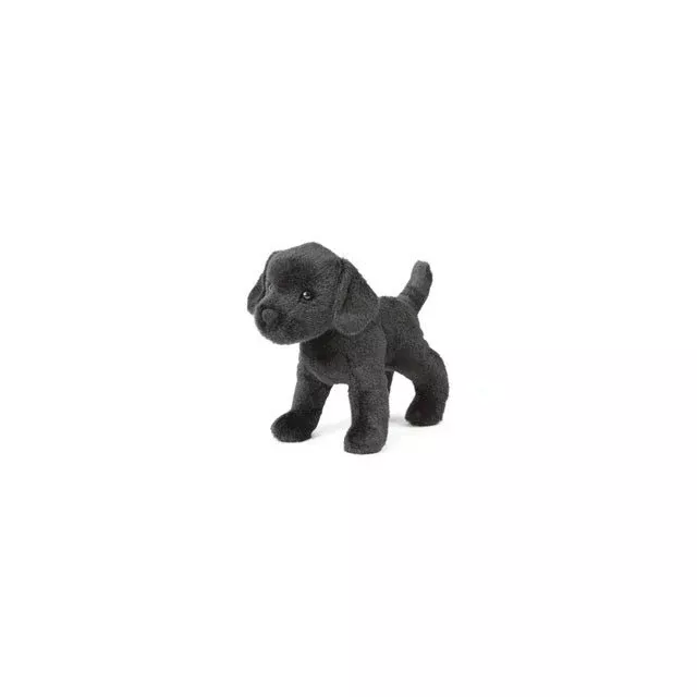 Abraham Lab Black