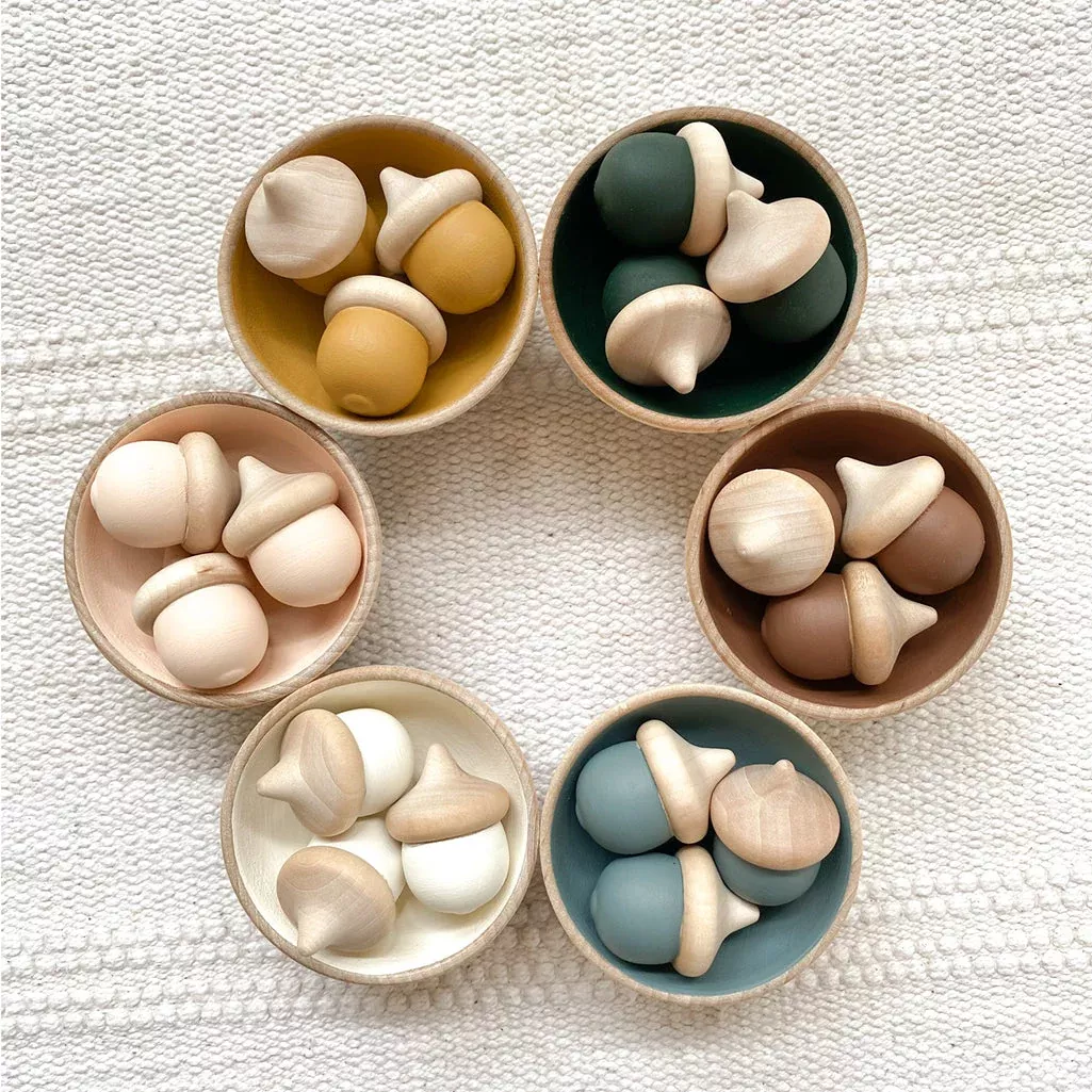Acorn Sorting Set