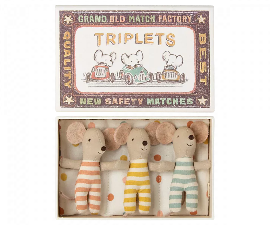 Baby Mice Triplets in Matchbox