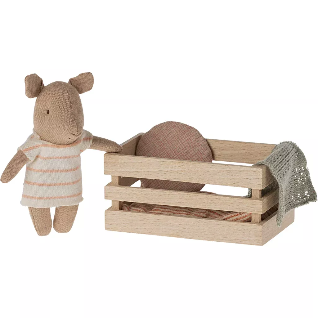 Baby Pig in Box