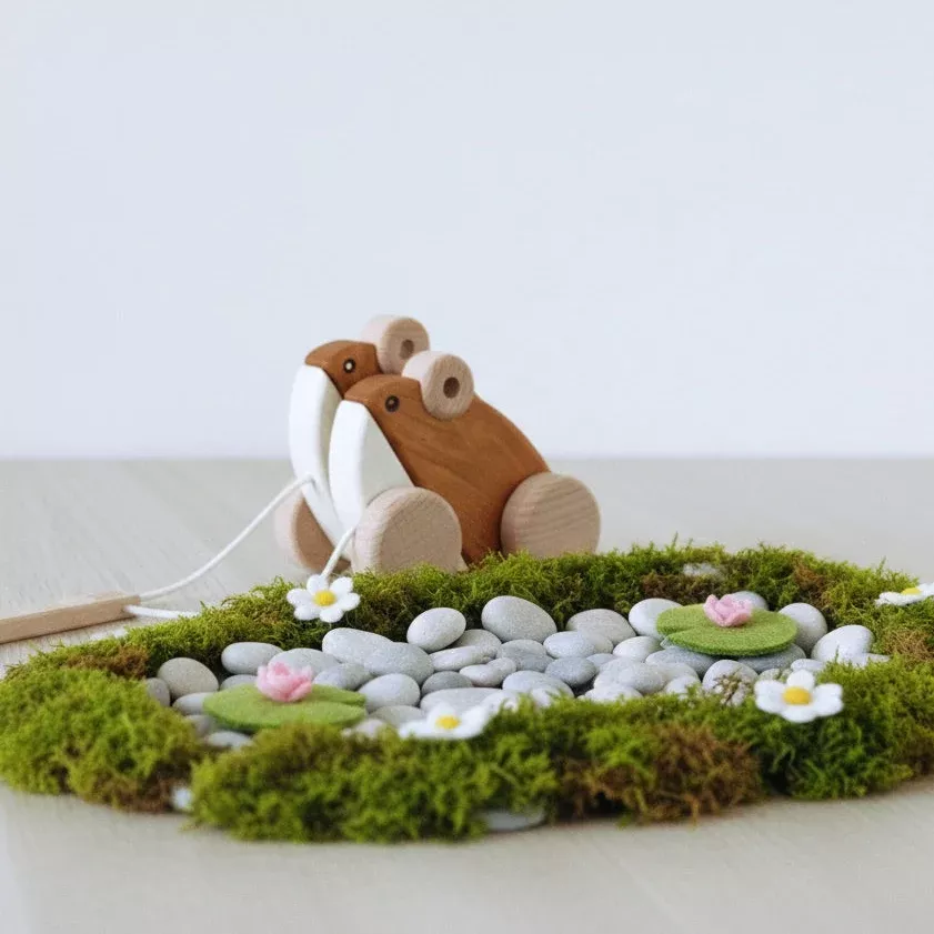 Bajo Double Frog Pull Toy