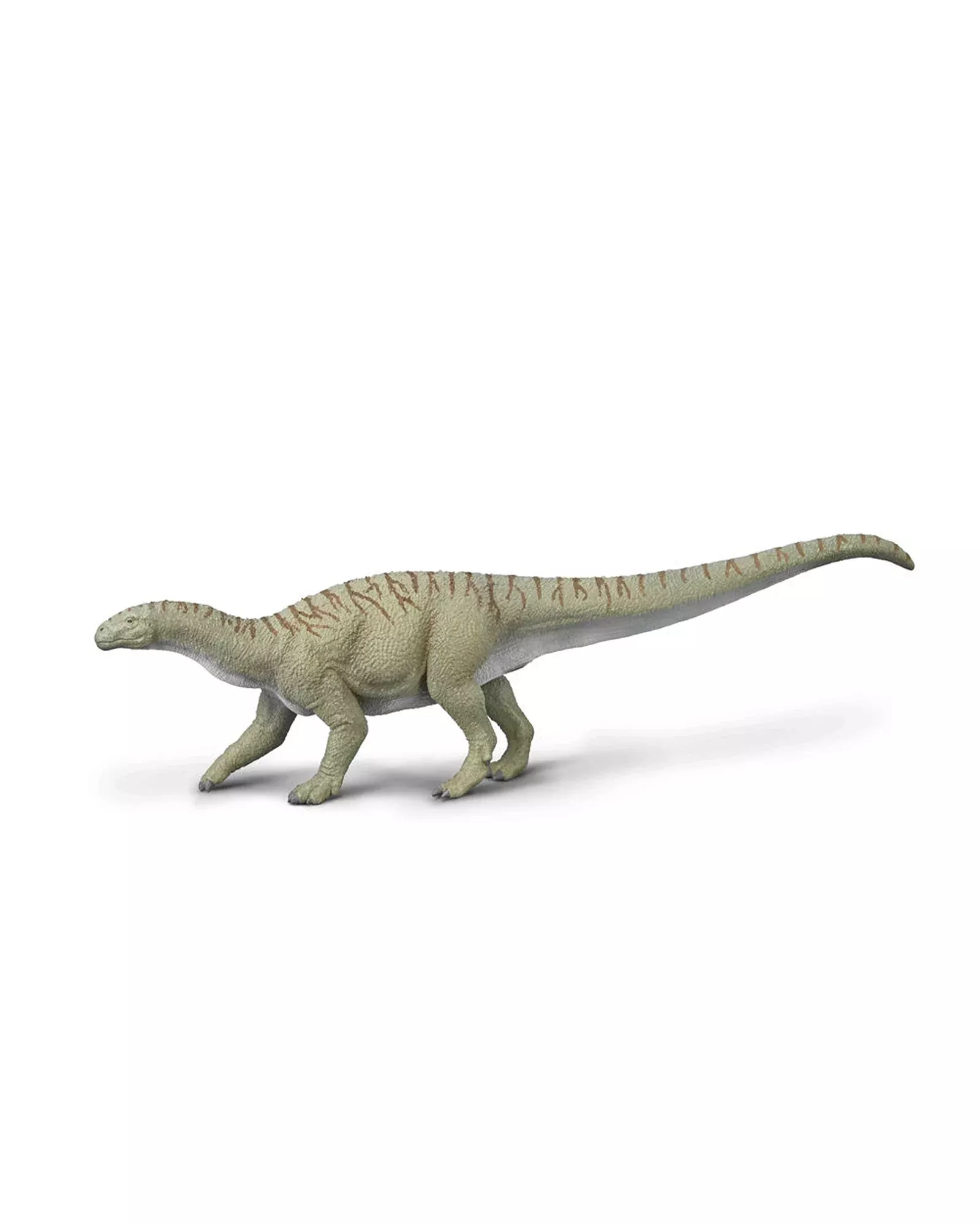 Collecta Ingentia Prima