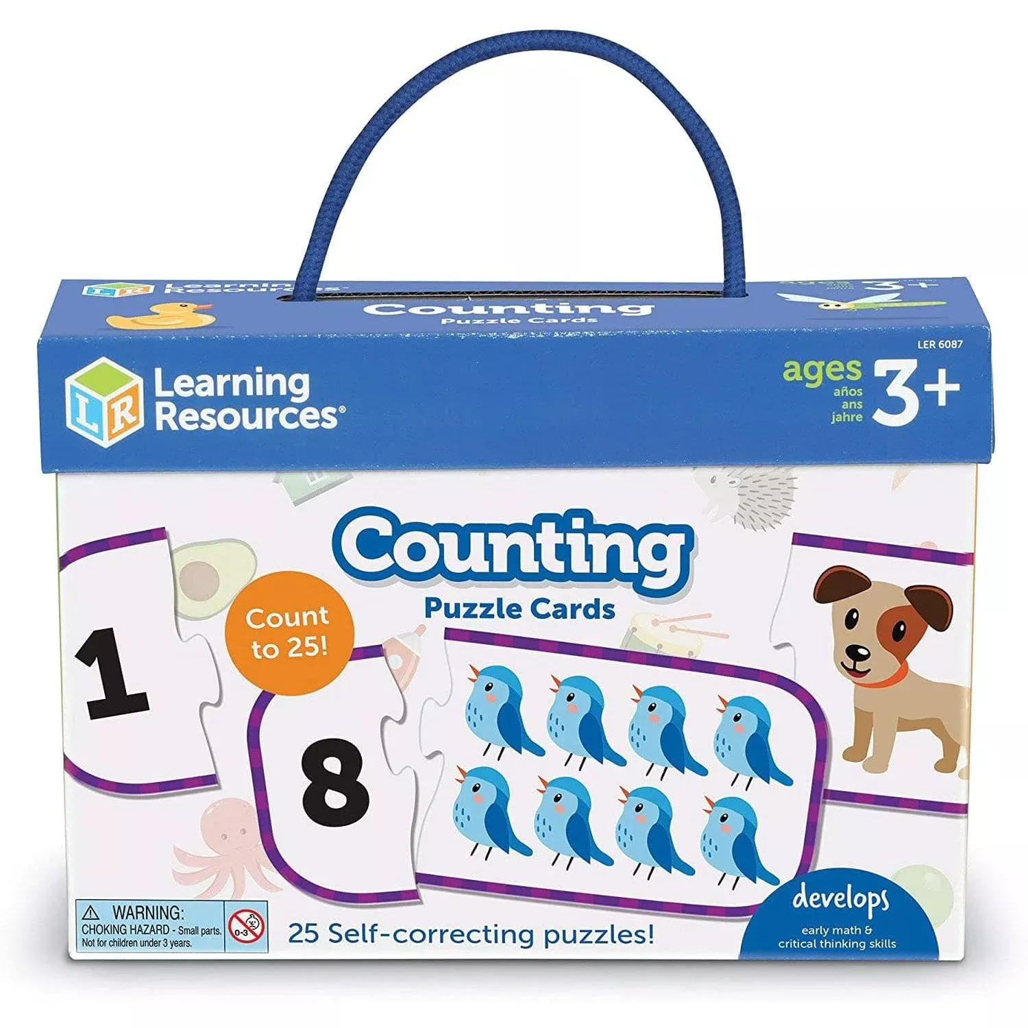 Counting Puzzle Cards