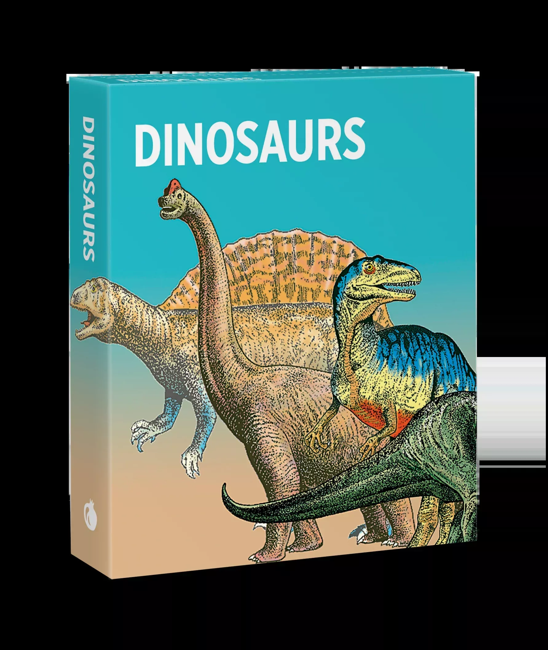Dinosuars Knowledge Cards