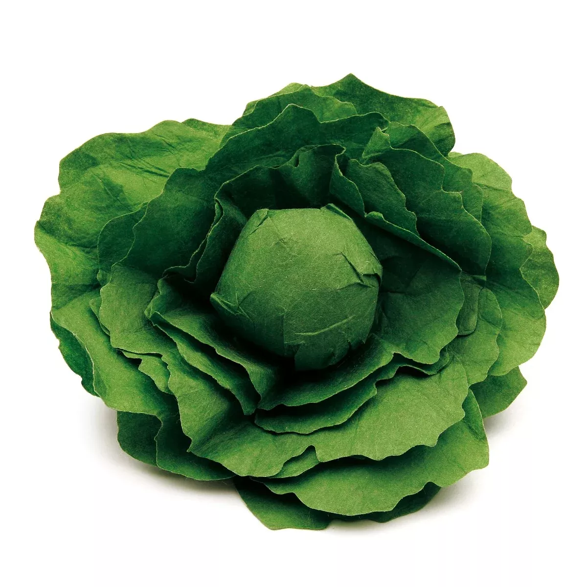 Erzi Lettuce