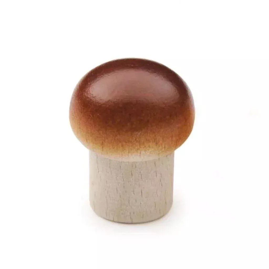 Erzi Mushroom