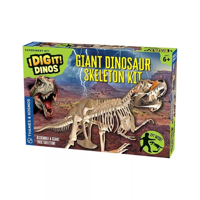 Giant Dinosaur Skeleton Kit