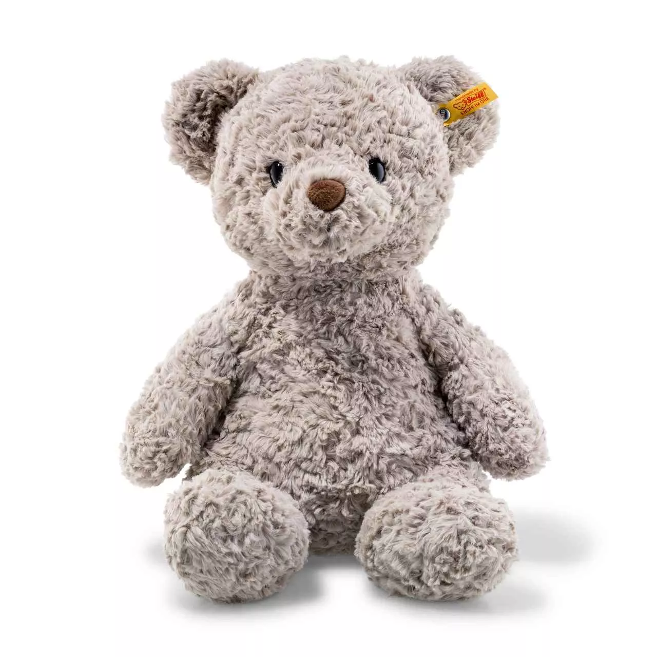 Honey Teddy Bear