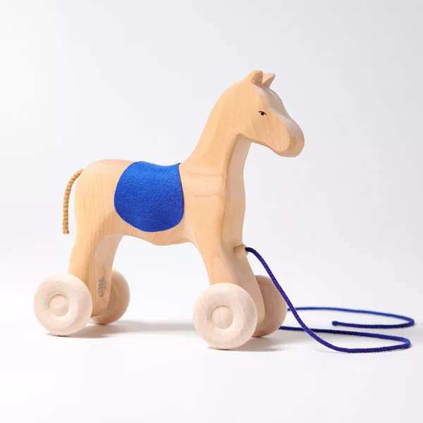 Horse Holly (Grimm's)