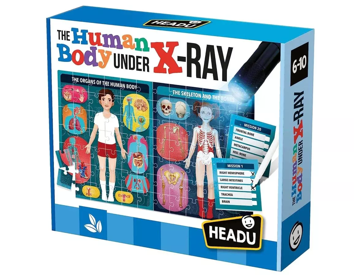 The Human Body - Under X-Ray
