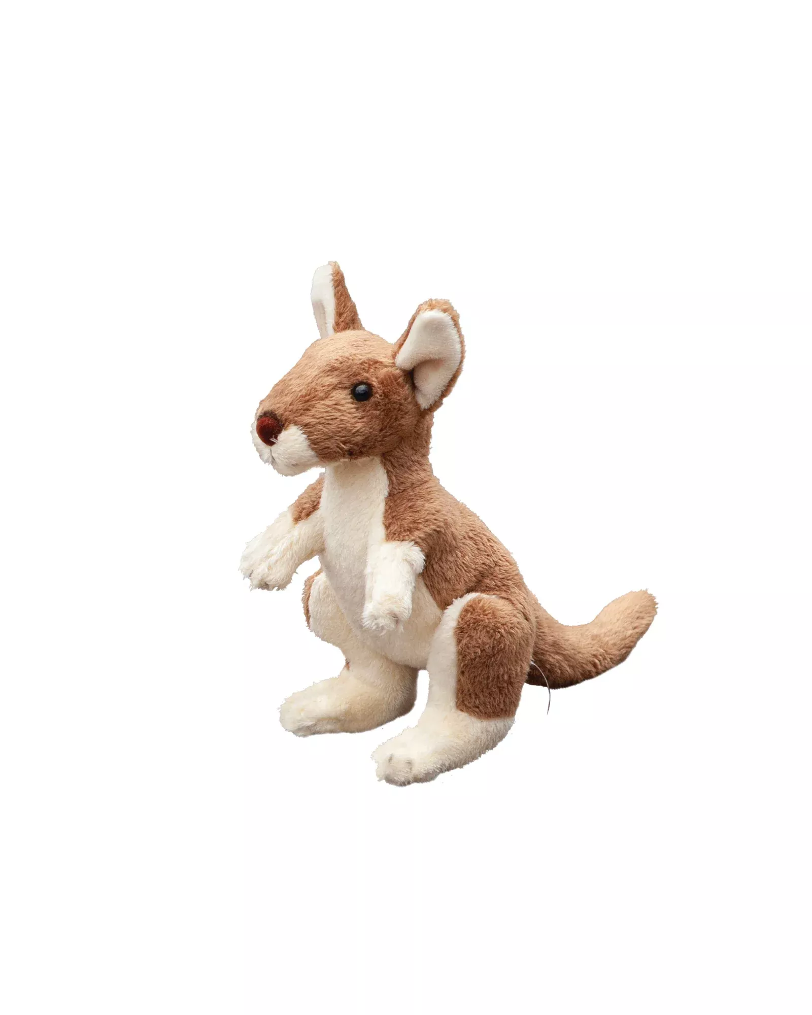 Kal the Kangaroo