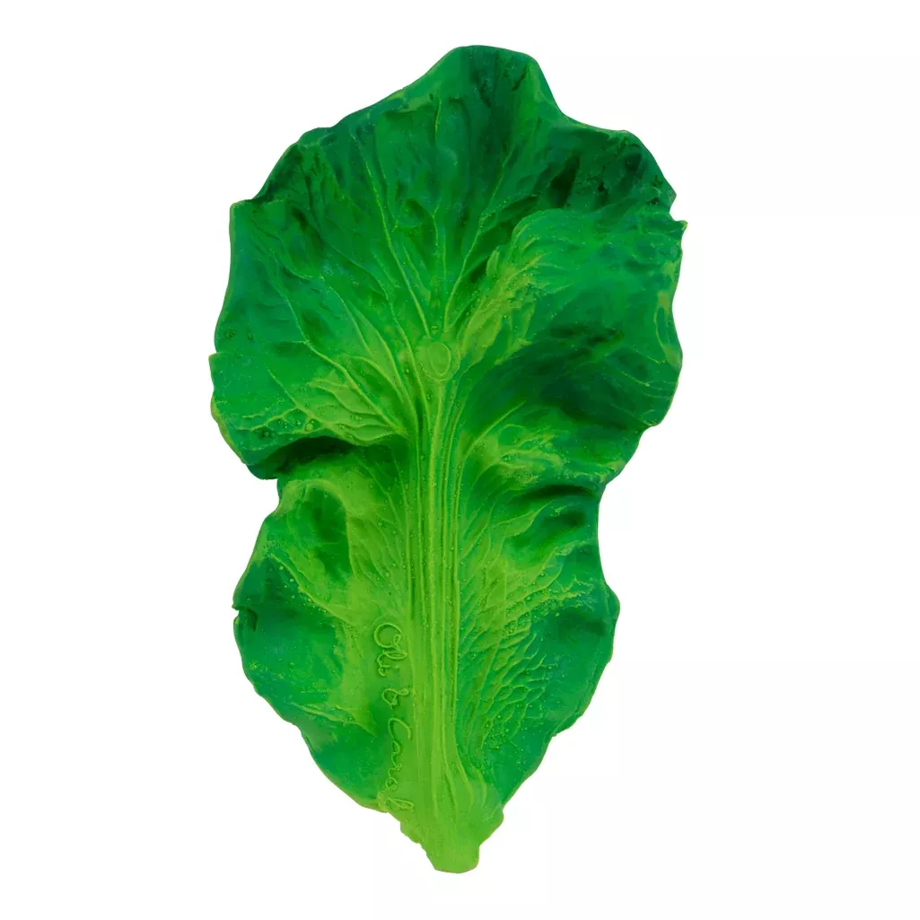 Kendall the Kale Teether