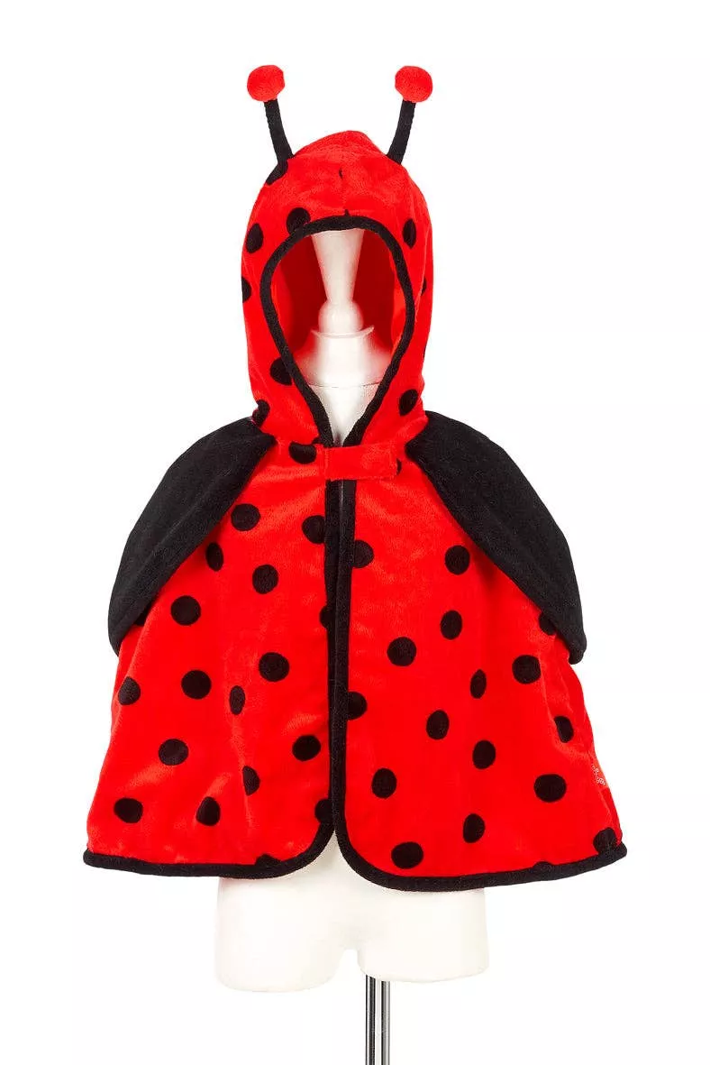 Layla Ladybird Costume