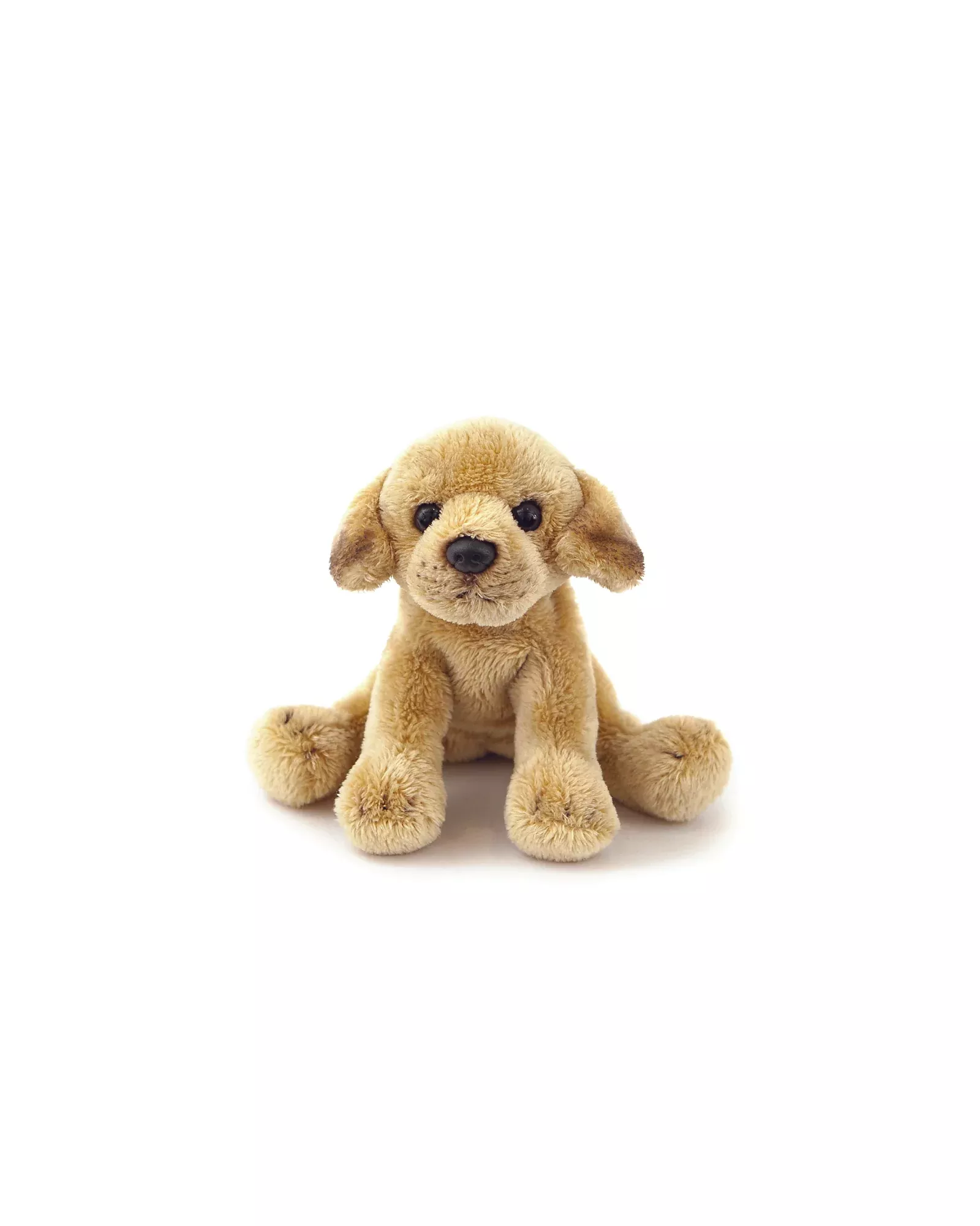 Marley Junior Labrador Small
