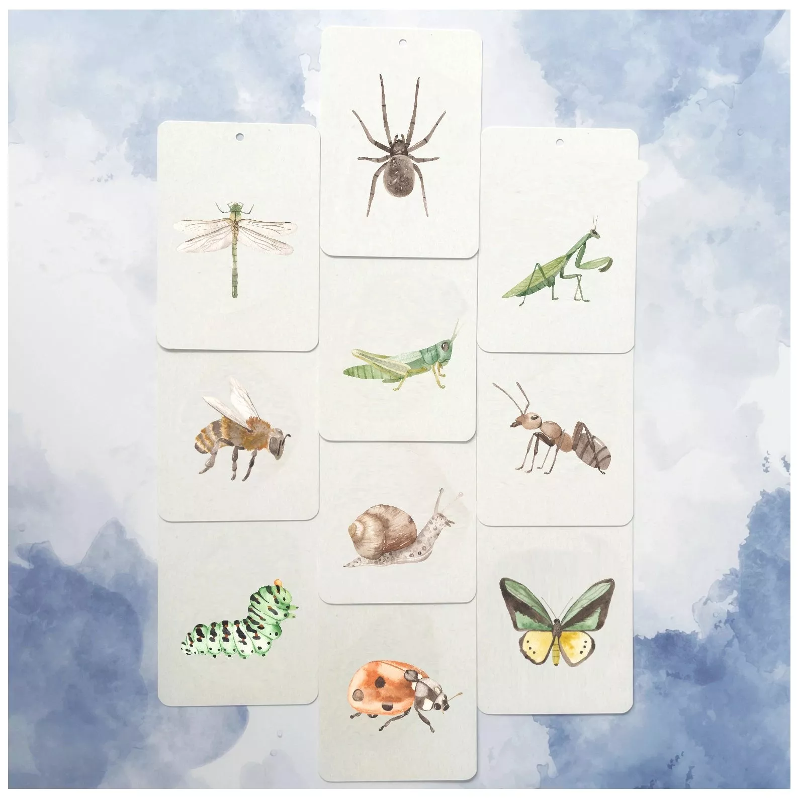 Mini Set: Creepy Crawlies - In A Flash Flashcards