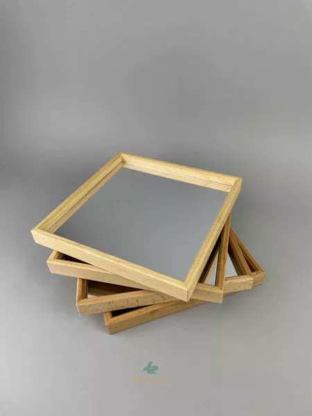Mirror Tray Set of 4