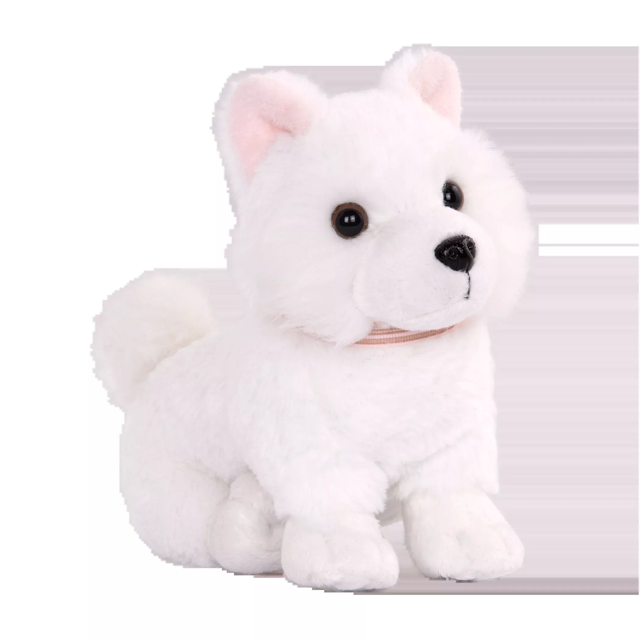 Our Generation – American Eskimo Pup