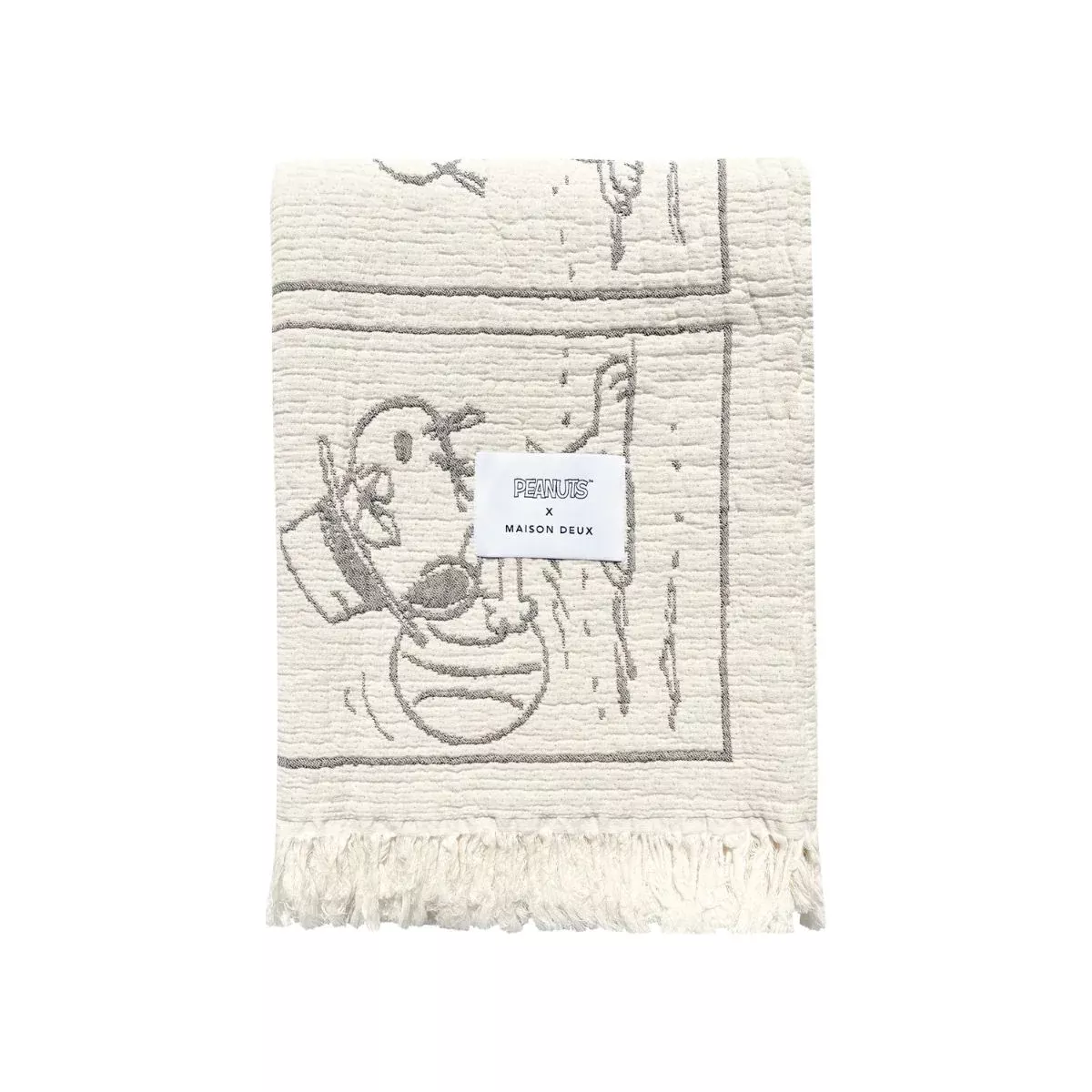 Peanuts Blanket Comic Dessert