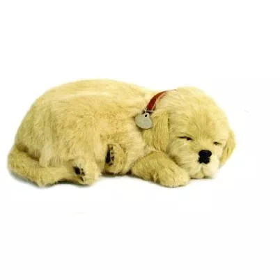 Perfect Petzzz Golden Retriever