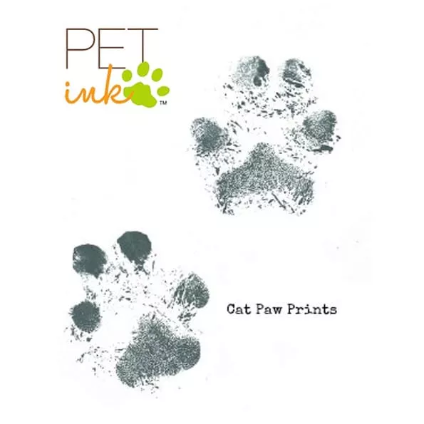 PETInk Inkless Printing Kit