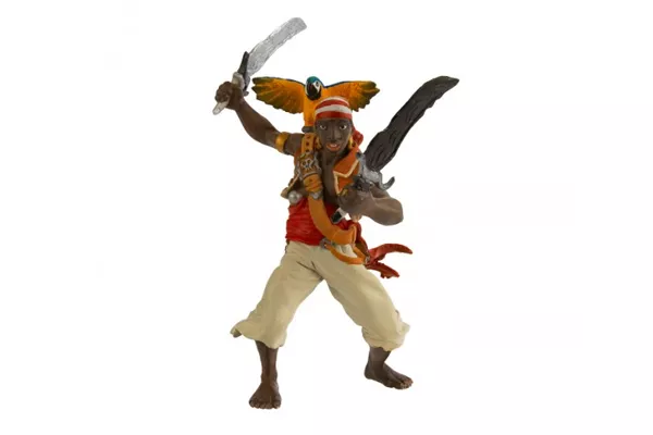 Pirate with Sabres