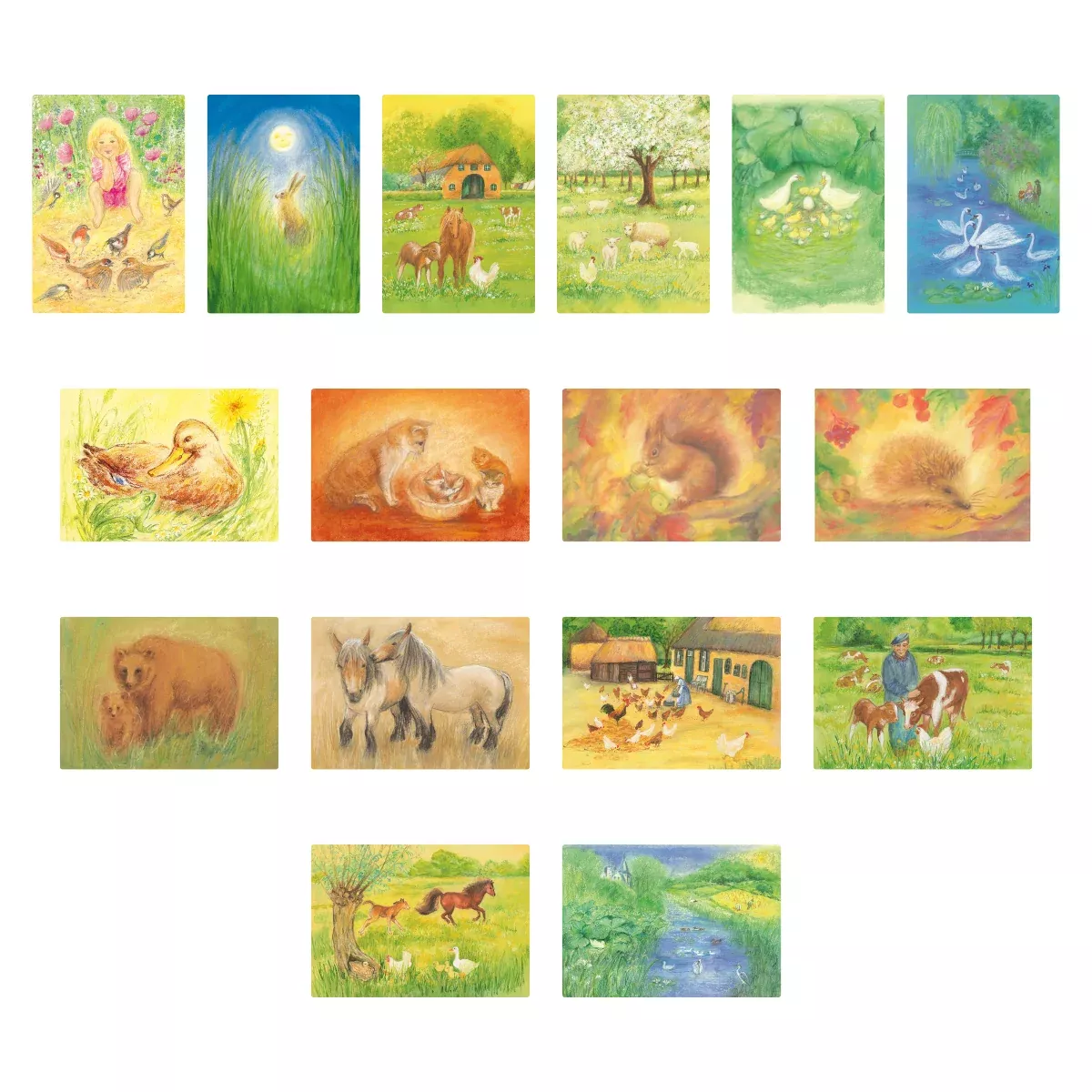 Postcards - Animals, 16 Assorted Cards