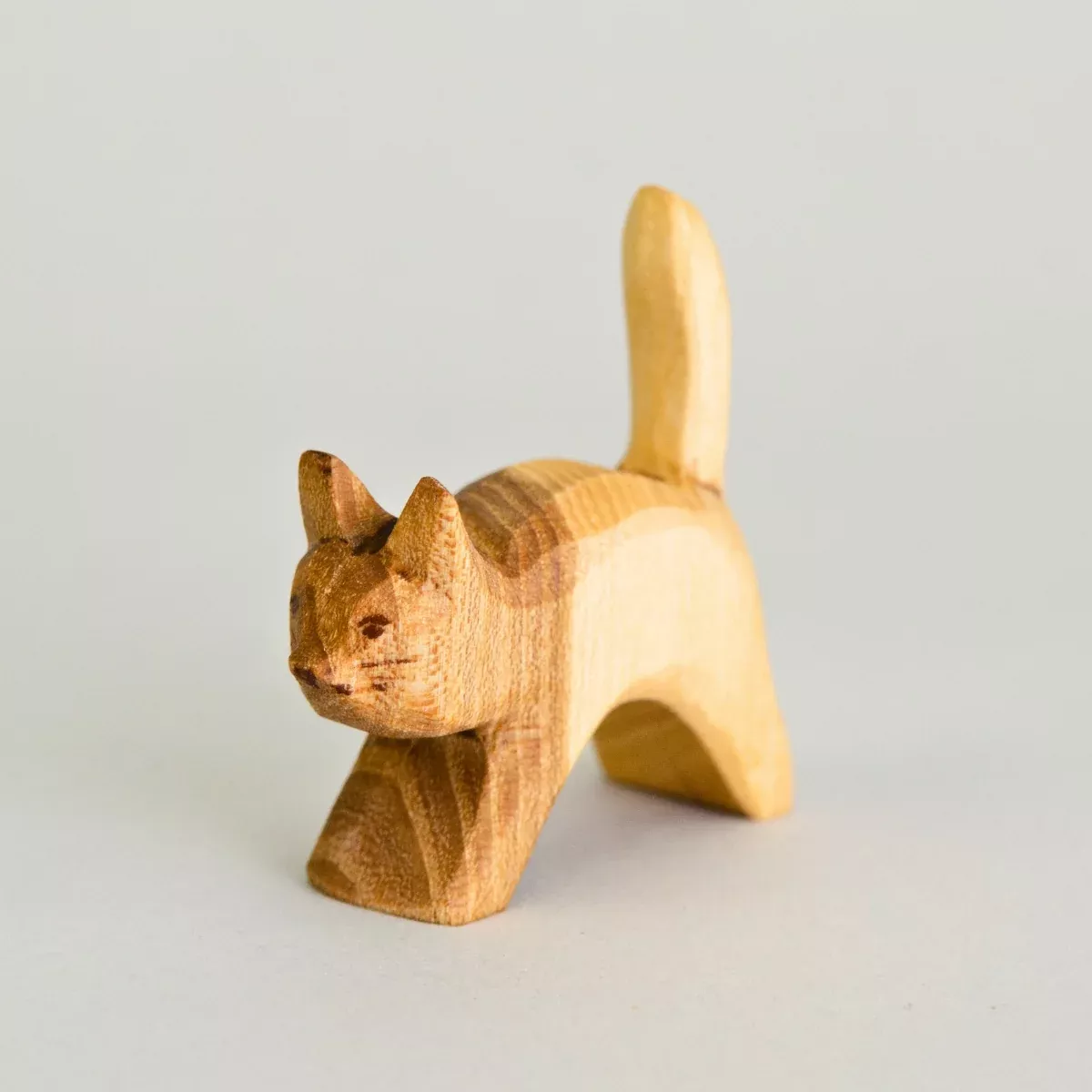 Predan Cat Standing