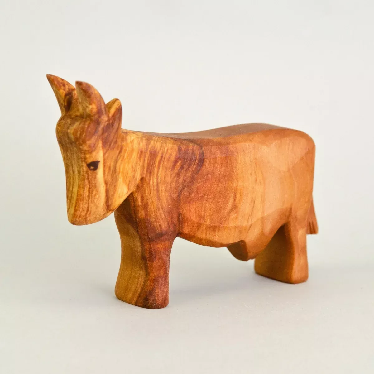 Predan Cow Standing