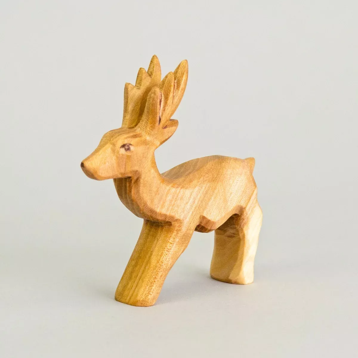 Predan Deer Roebuck