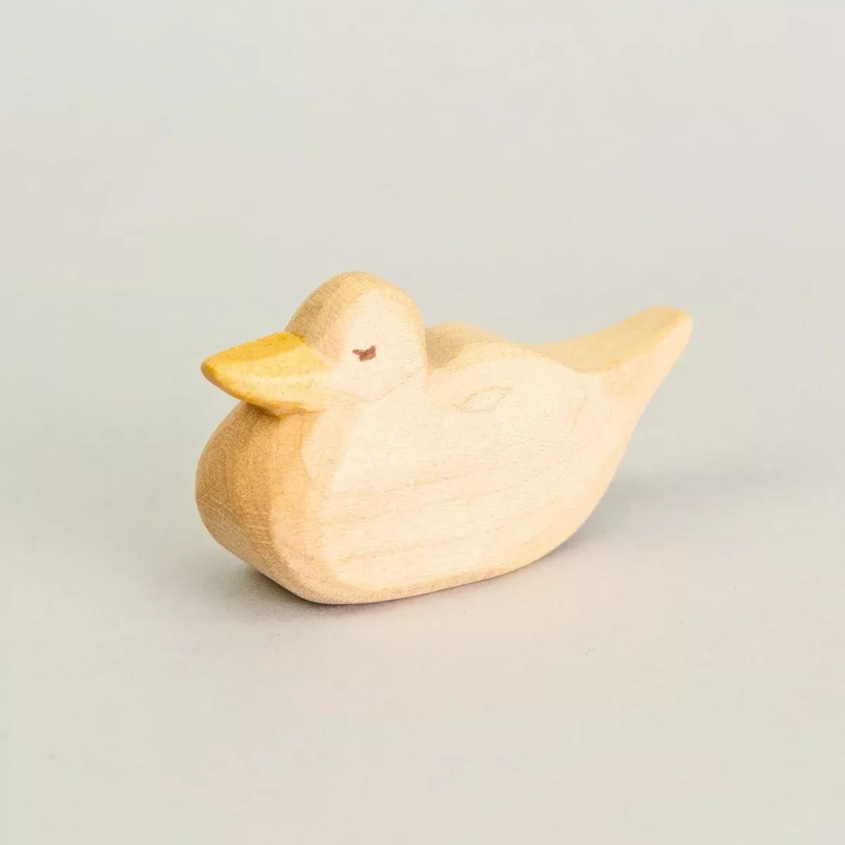 Predan Duck Swimming