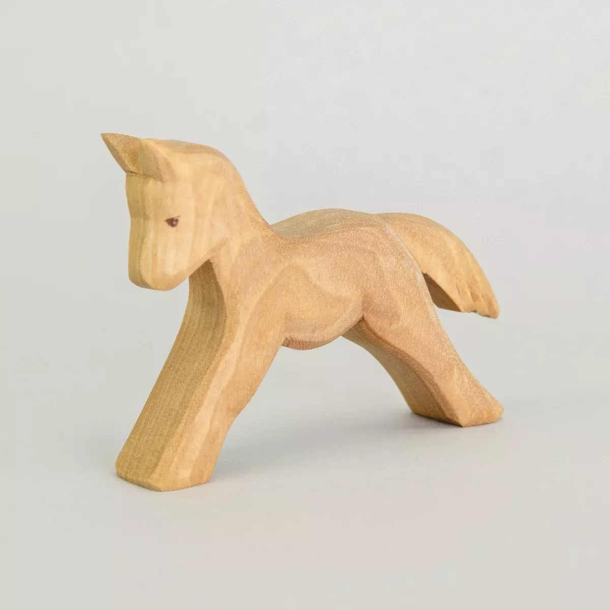 Predan Foal