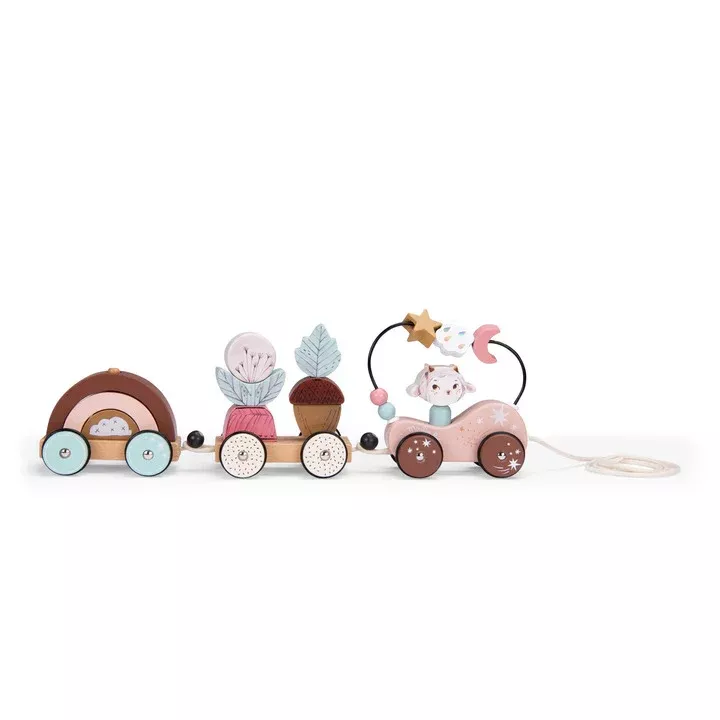 Pull Along Activity Train - "After The Rain" Collection