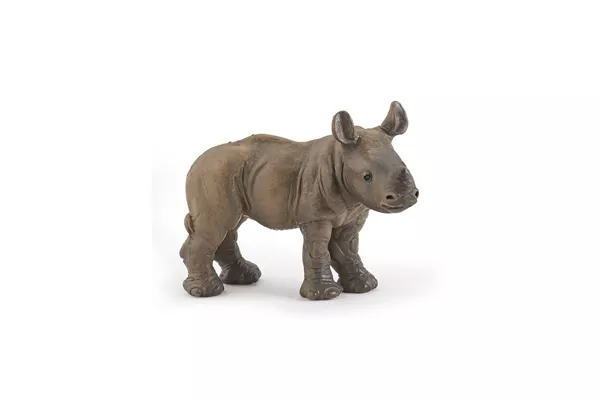 Rhinoceros Calf