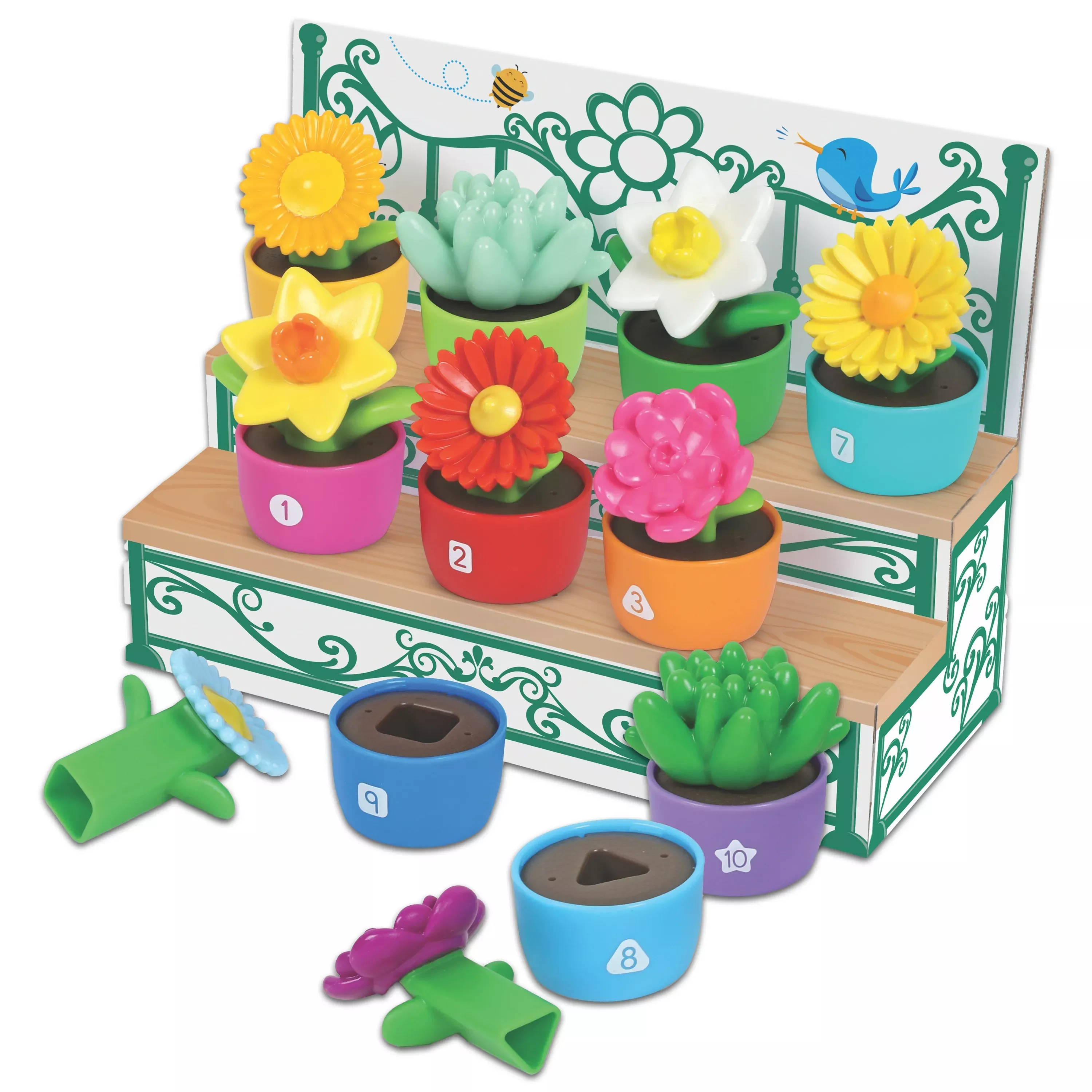 Shape & Colour Garden