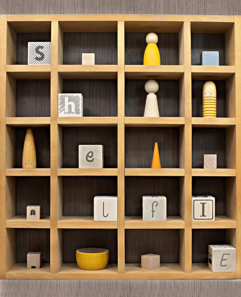 Shelfie Shelf