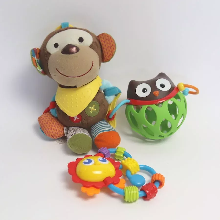 Skip Hop Toy Bundle
