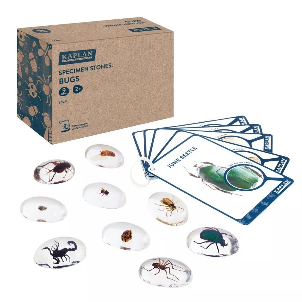 Specimen Stones: Bugs - 9 Stones