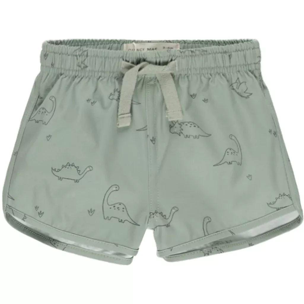 Swim Shorts