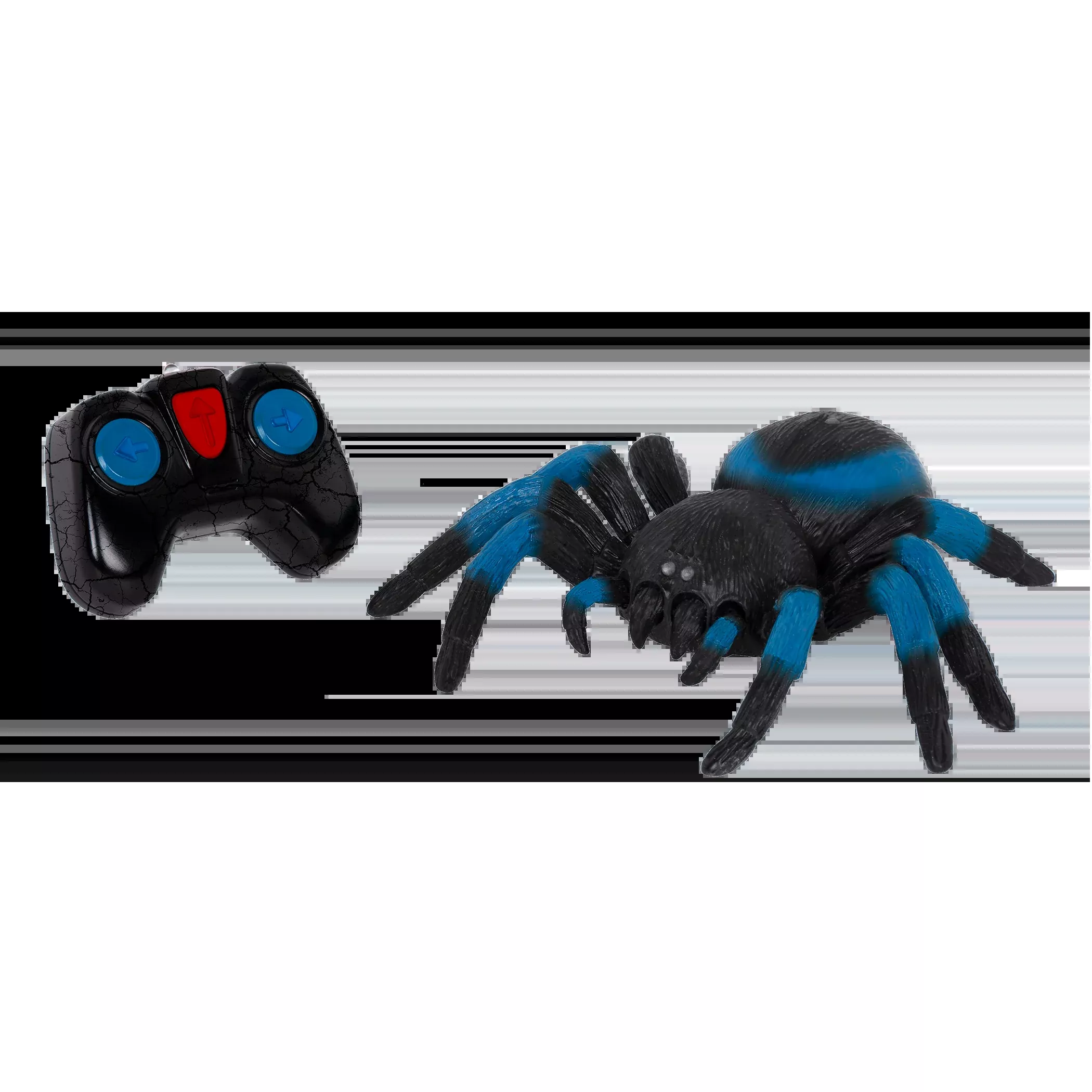 Terra - Remote Controlled Spider - Tarantula Blue