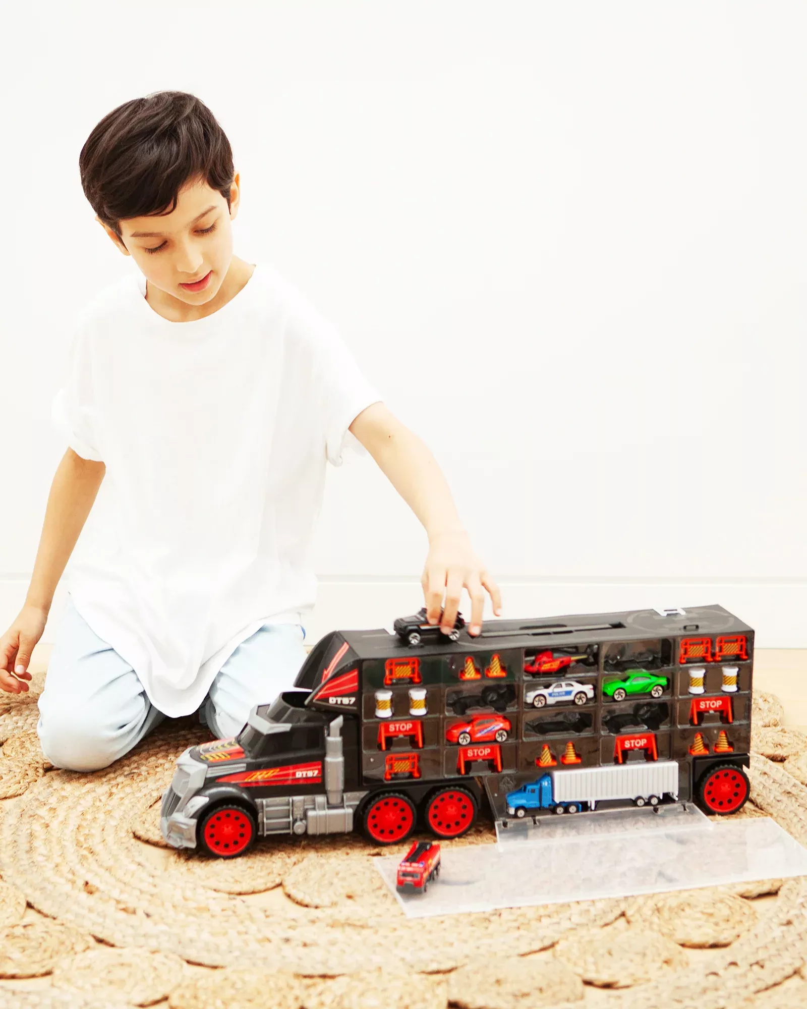 Truck Carry Case