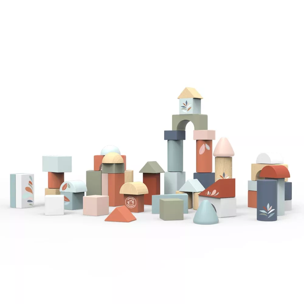 Wood Building Blocks Set of 50
